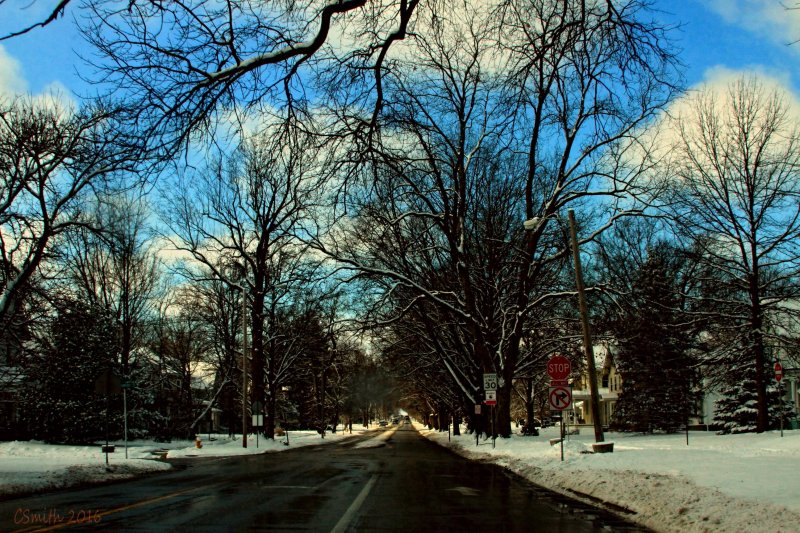 Street in Jacksonville