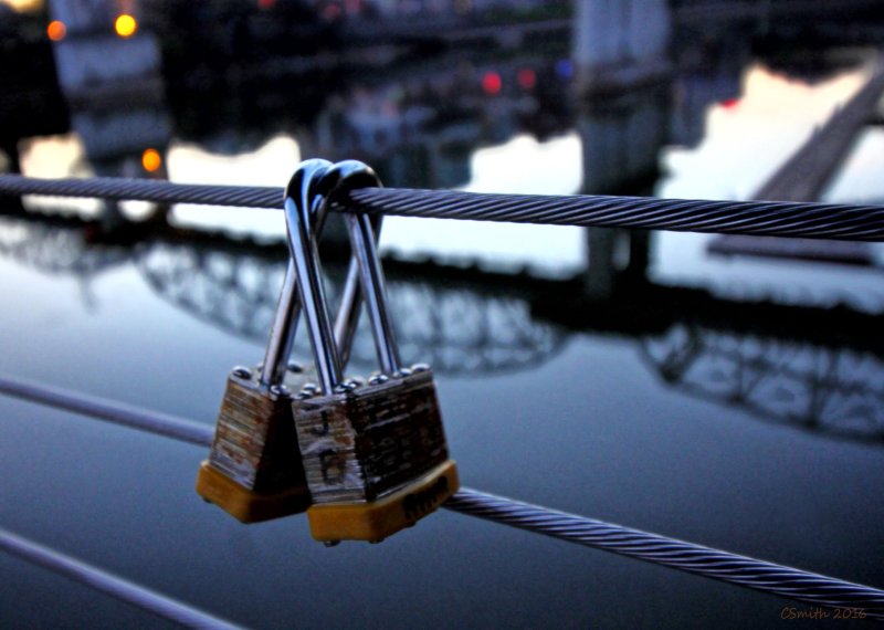 LOCKS OF LOVE - CUMBERLAND RIVER, NASHVILLE, TN