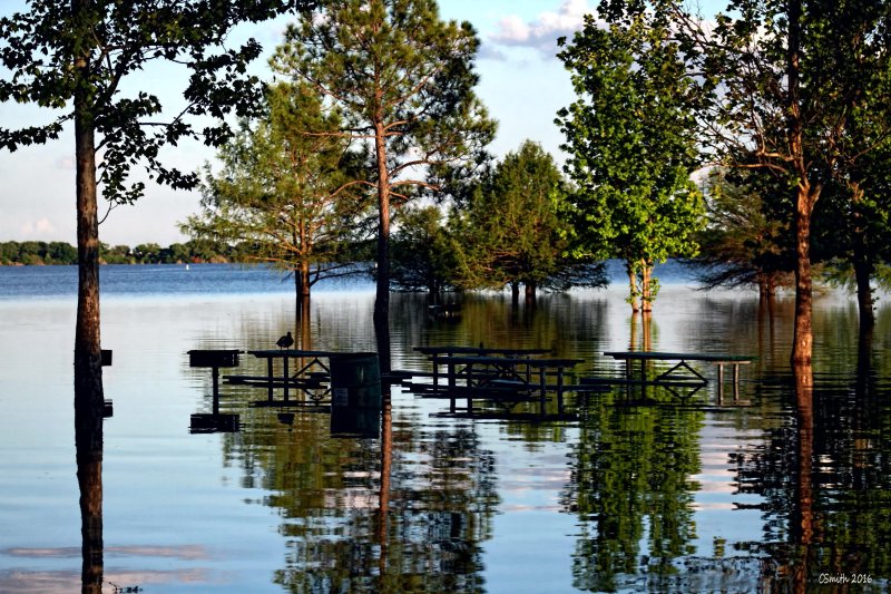 TRAVELING AROUND TEXAS YOULL FIND FLOODED AREAS