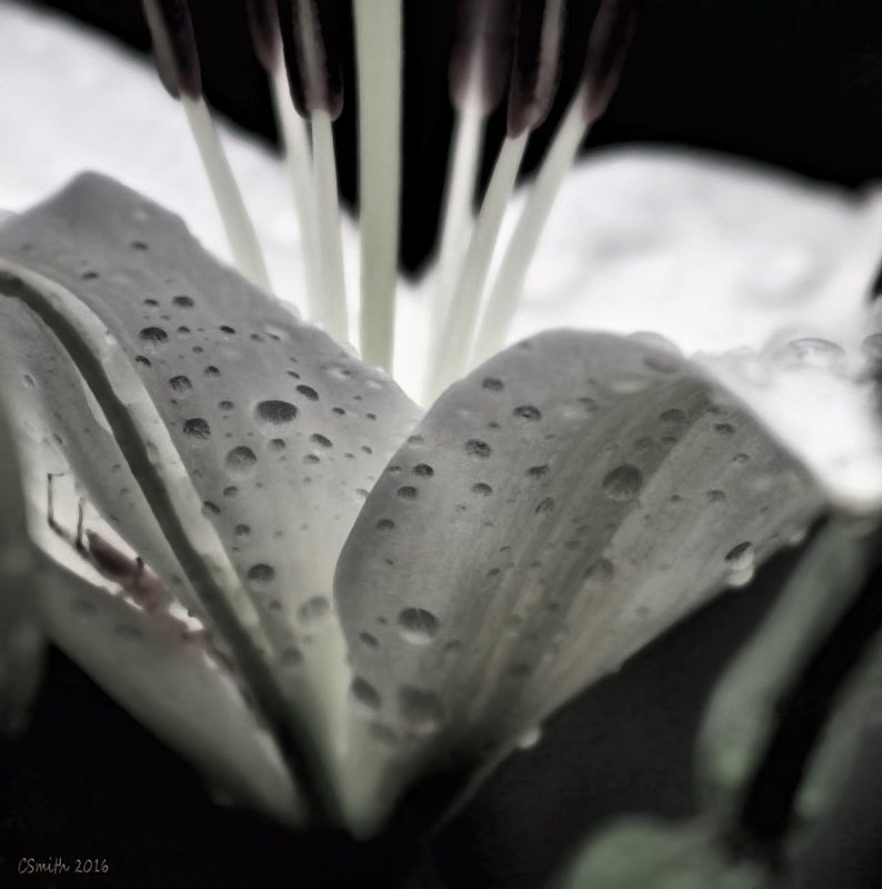 RAINY FRIDAY.....