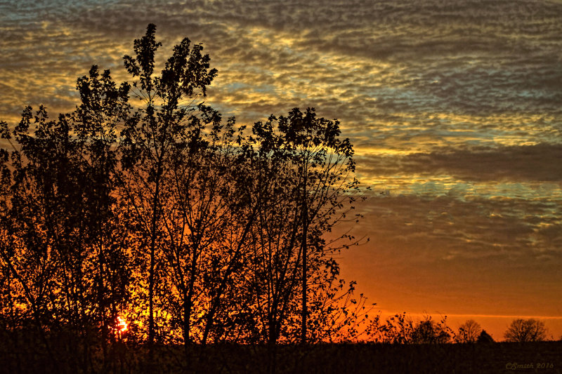 ILLINOIS AUTUMN SUNSET