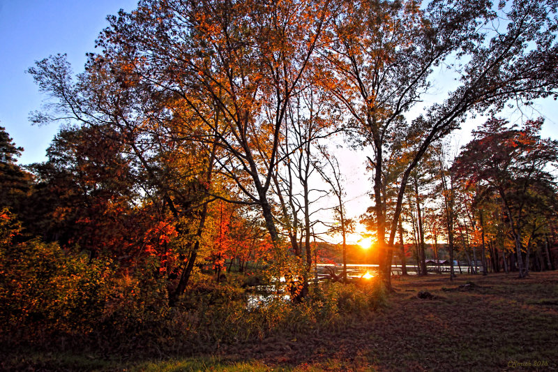 AUTUMN IN EAST TEXAS