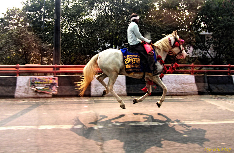 RIDING DOWN THE HIGHWAY