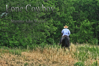 LONE COWBOY