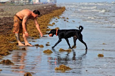 A MAN AND HIS DOG