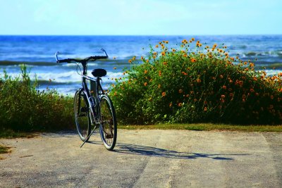 WAITING BIKE