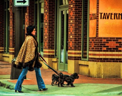 TWO DOGS AND THE LEOPARD LADY
