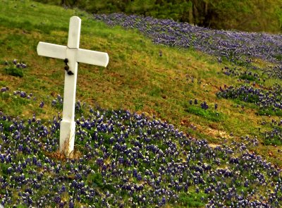 WHITE CROSS AND BLUEBONNETS