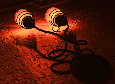 OLIVE GARDEN LIGHT AND SHADOW
