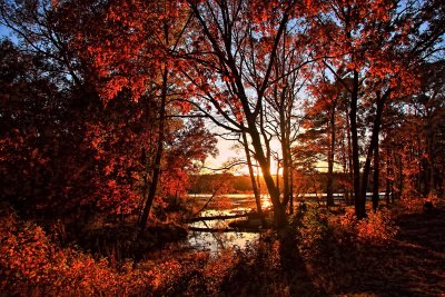 AUTUMN AT LAKE HAWKINS