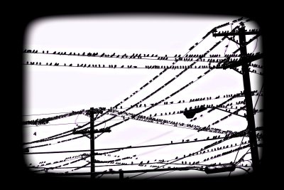DO NOT WALK UNDER THE WIRES!