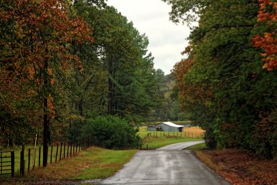 AUTUMN IN EAST TEXAS