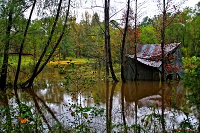 WHEN NATURE TAKES IT BACK