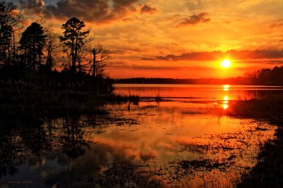 I WILL TURN AROUND AND BRAKE FOR A GOOD SUNSET