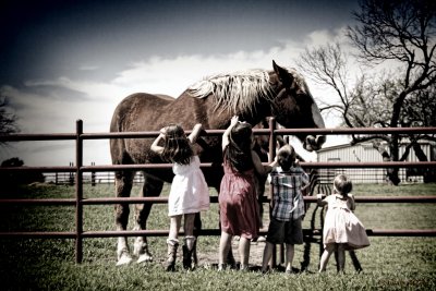 MARCH 26TH - THE KIDS AND THE HORSE