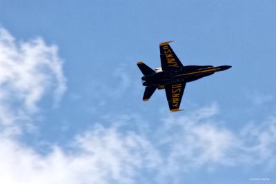 MY LUNCHTIME VISITORS - BLUE ANGELS - A GREAT WAY TO TRAVEL!