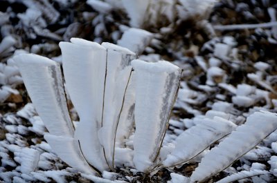 Iced straws