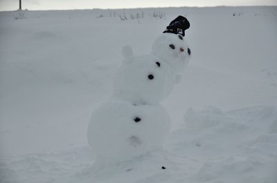 The snowman