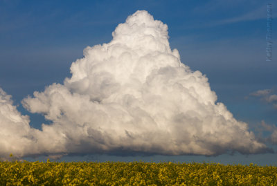 Triangular Cloud