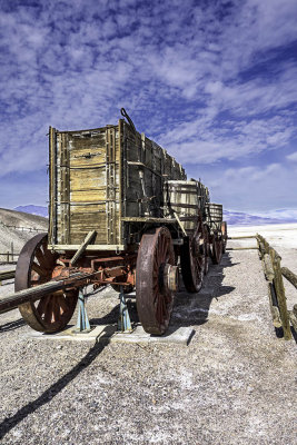 20 Mule Team