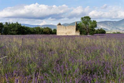 Plateau de Valensole