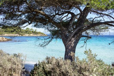 Porquerolles