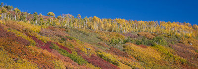 Colorado_Fall_2013-13.jpg