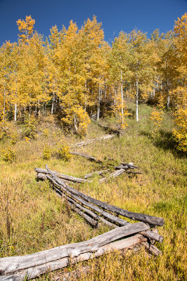 Colorado_Fall_2013-14.jpg