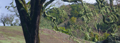 Big_Sur_2014-2.jpg