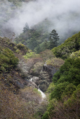 Big_Sur_2014-8.jpg