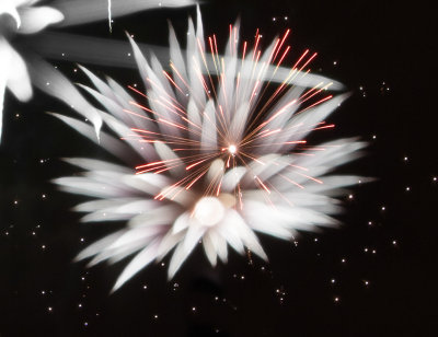Fireworks-11.jpg