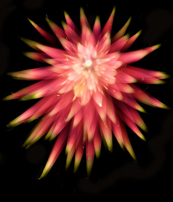 Fireworks-4.jpg