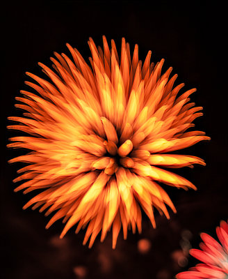 Fireworks-6.jpg