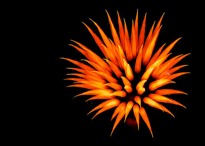 Fireworks-7.jpg