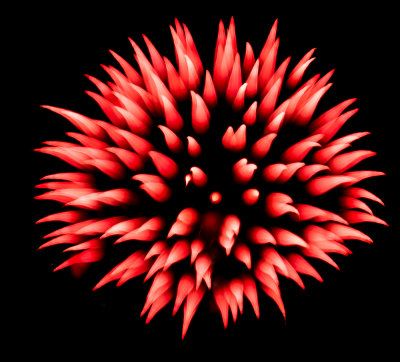 Fireworks-8.jpg
