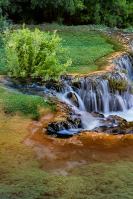 havasupai2015-5.jpg