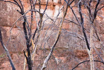 havasupai2015-71.jpg