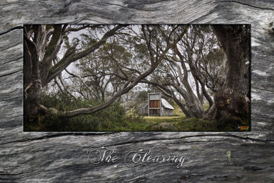 The Clearing II