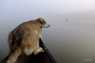 Paddling Trip down the  Mackenzie River