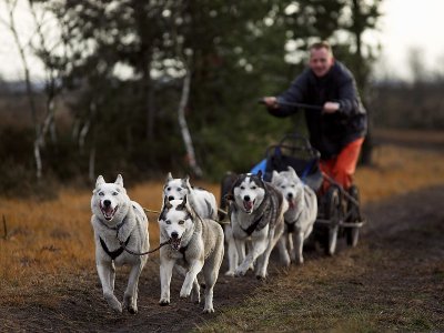 Pampa Sleddog Race 2006