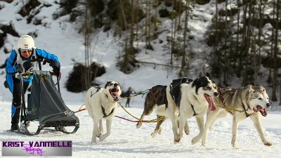 sized_CO1H0135.jpg