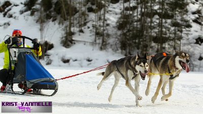 sized_CO1H9199.jpg