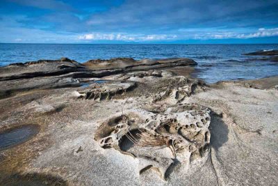 Galiano Island Shore Art