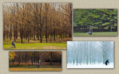 Life's Four Seasons
