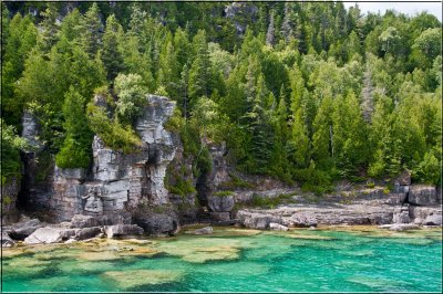 Flower Pot Island Shoreline
