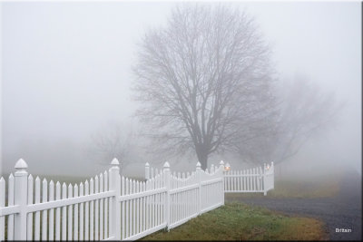 Fence Line In Fog