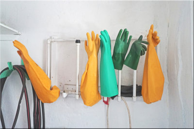 Rubber Gloves Discussing World Hunger