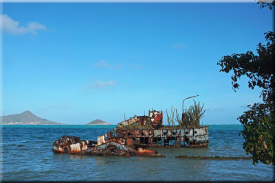 Cariacou Reef Wreck