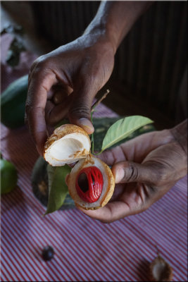 Raw Nutmeg
