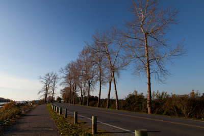 london_heritage_farm_in_fall_and_dyke_road